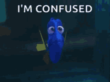 Confused Dori GIF - Confused Dori GIFs