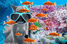 Tomascore Underwater GIF - Tomascore Underwater Horse GIFs