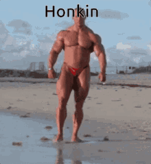 Honkin GIF - Honkin GIFs