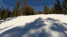 Trumpet Skiing GIF - Skiing Snow Adrenaline GIFs