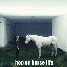 Chenle Horse Life GIF - Chenle Horse Life Roblox Horse Life GIFs