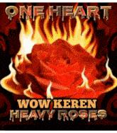 a poster for one heart wow keren heavy roses shows a red rose in flames