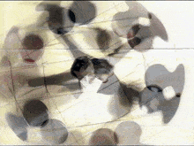 a painting of a person 's face with a circle of circles around it