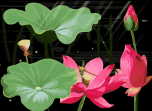 Lovely Flowers GIF - Lovely Flowers Nature GIFs