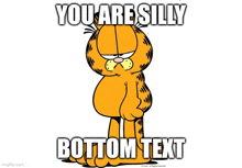 garfield is standing with his hands on his hips and says you are silly bottom text .