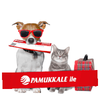 Kedi Köpek Sticker - Kedi Köpek Pati Stickers
