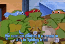 tmnt leonardo we cant eat cookies if we want to stay in fighting trim no cookies