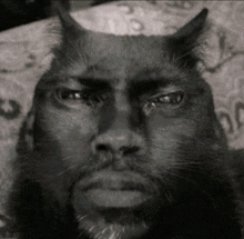 a black and white photo of a cat with a man 's face on it