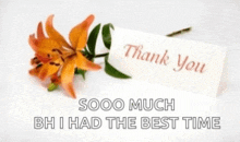 Thank You Thanks GIF - Thank You Thanks Orange Flower GIFs