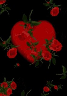 Thank You Roses GIF - Thank You Roses Red GIFs