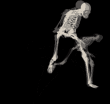 Vempropauotakufedidoesqueletobravoprakrai Skeleton GIF - Vempropauotakufedidoesqueletobravoprakrai Skeleton Dance GIFs