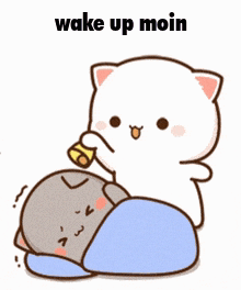 Wake Up Wakey Wakey GIF - Wake Up Wakey Wakey Moin GIFs