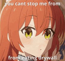 a picture of a girl with red hair says you cant stop me from from eating drywall