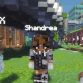 a minecraft character named shandrea is standing in a field