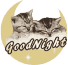 two kittens are sleeping in front of a crescent moon and the words " good night "