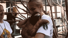 hug cuddle dance sloth sloth sanctuary
