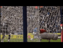 Shaun Goater Goater GIF - Shaun Goater Goater Feed The Goat GIFs