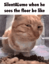 Silentalume Floor GIF
