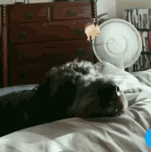 Slippy Dog GIF - Slippy Dog Sleeping GIFs