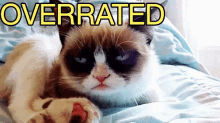 Overrated GIF - Grumpy Cat Eyeroll Overrated GIFs