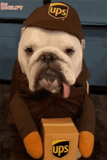 Here Is A Package Of Love For Everyone Dog GIF - Here Is A Package Of Love For Everyone Dog Animals GIFs