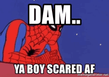 Scared Spider Man GIF - Scared Spider Man Scared Spiderman GIFs