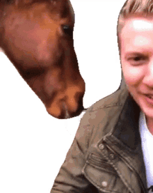 lick this is happening awkward situation horse licking horse