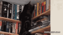 Bookshelf Cat GIF - Bookshelf Cat Falling GIFs