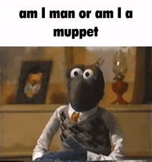 Am I Man Or A Muppet The Muppets GIF
