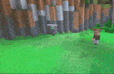 a screenshot of a video game called minecraft with a person standing in the grass
