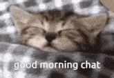 a kitten is sleeping on a checkered blanket with the words good morning chat written below it