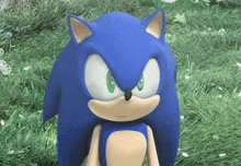 a blue sonic the hedgehog with green eyes stands in a field of grass