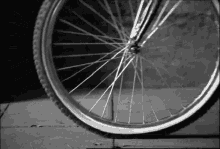 bici rueda
