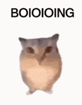 a close up of a hamster with the words boioioioing above it .