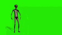 a 3d rendering of an alien standing on a green screen .