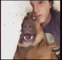 Funny Dog Laughing GIF - Funny Dog Laughing GIFs