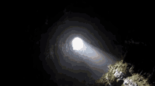 Life In A Cave GIF - Planet Earth Cave Light GIFs