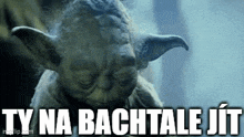 a picture of yoda from star wars with the words ty na bachtale jit .