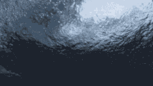 Water Surface GIF - Water Surface GIFs