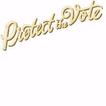 protect the vote wisconsin vrl wisconsin voter wisconsin voting wisconsin voter suppression