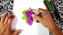 a person is drawing a bunch of grapes with a pencil that says stabilo