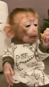 a baby monkey wearing a dinosaur pajama eating a snack