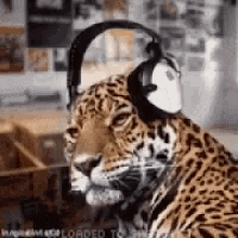 The Beat Goes On GIF - The Beat Goes On GIFs