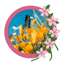 spring motivation spring animated stickers