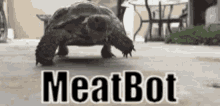 Meatbot Discord GIF - Meatbot Meat Bot GIFs