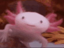 a close up of a pink axolotl looking at the camera with a blurry background .