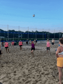 Volleyball GIF