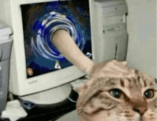 a cat is looking at a computer screen with a hand sticking out of it