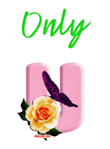 a pink letter u with a butterfly and a yellow rose