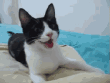 Smiling Cat GIF - Scrunchedeyes GIFs